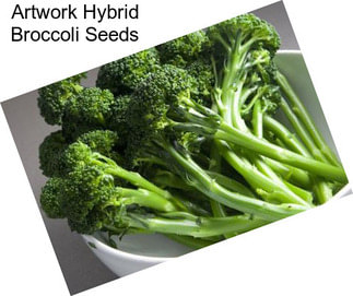 Artwork Hybrid Broccoli Seeds