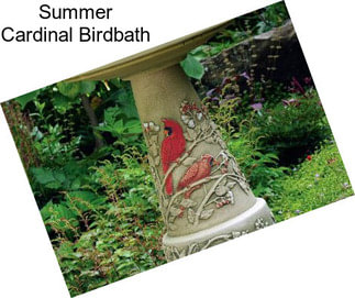 Summer Cardinal Birdbath