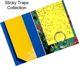 Sticky Traps Collection