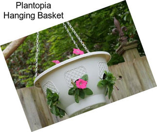 Plantopia Hanging Basket