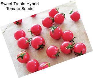 Sweet Treats Hybrid Tomato Seeds