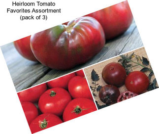 Heirloom Tomato Favorites Assortment (pack of 3)