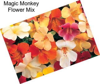 Magic Monkey Flower Mix