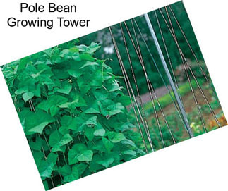 Pole Bean Growing Tower