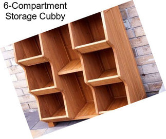 6-Compartment Storage Cubby