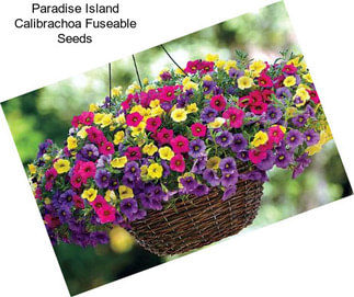 Paradise Island Calibrachoa Fuseable Seeds