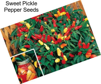 Sweet Pickle Pepper Seeds