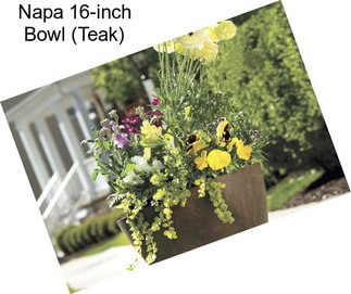 Napa 16-inch Bowl (Teak)