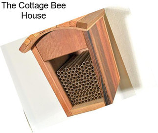 The Cottage Bee House