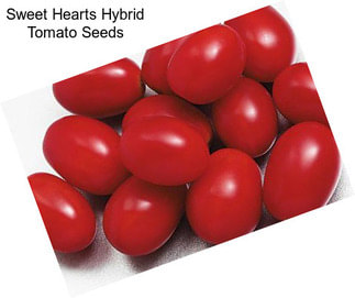 Sweet Hearts Hybrid Tomato Seeds