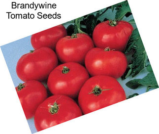 Brandywine Tomato Seeds