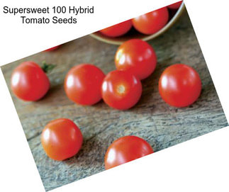 Supersweet 100 Hybrid Tomato Seeds