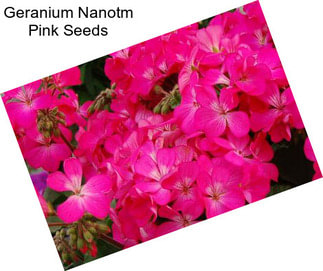 Geranium Nanotm Pink Seeds