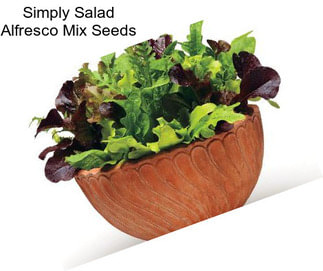 Simply Salad Alfresco Mix Seeds
