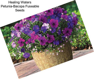 Healing Waters Petunia-Bacopa Fuseable Seeds