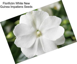 Florifictm White New Guinea Impatiens Seeds