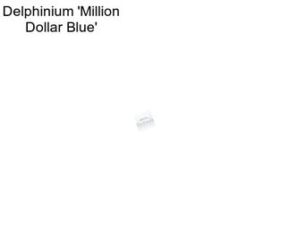 Delphinium \'Million Dollar Blue\'