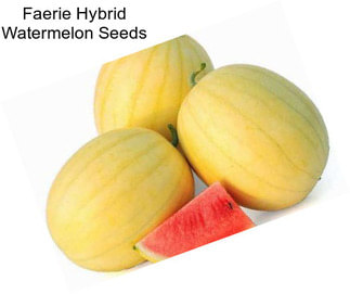 Faerie Hybrid Watermelon Seeds