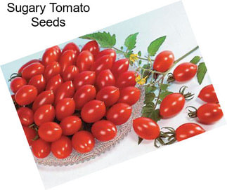 Sugary Tomato Seeds