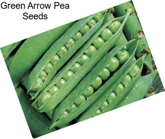 Green Arrow Pea Seeds