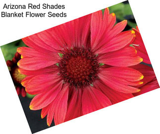Arizona Red Shades Blanket Flower Seeds