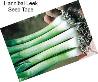 Hannibal Leek Seed Tape