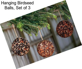 Hanging Birdseed Balls, Set of 3