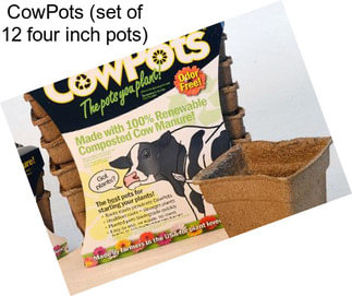 CowPots (set of 12 four inch pots)
