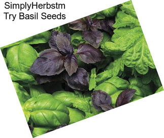 SimplyHerbstm Try Basil Seeds