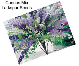 Cannes Mix Larkspur Seeds