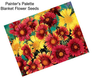 Painter\'s Palette Blanket Flower Seeds