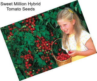 Sweet Million Hybrid Tomato Seeds