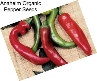 Anaheim Organic Pepper Seeds