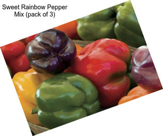 Sweet Rainbow Pepper Mix (pack of 3)