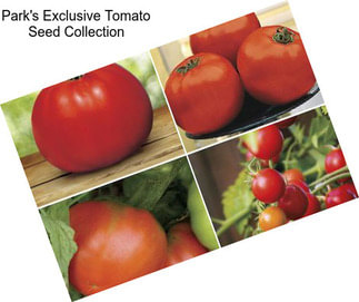 Park\'s Exclusive Tomato Seed Collection