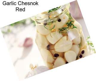 Garlic Chesnok Red