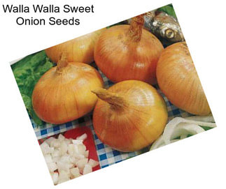 Walla Walla Sweet Onion Seeds