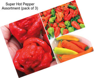 Super Hot Pepper Assortment (pack of 3)