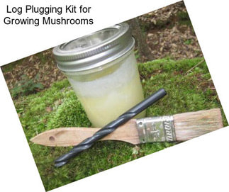 Log Plugging Kit for Growing Mushrooms