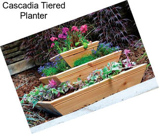 Cascadia Tiered Planter