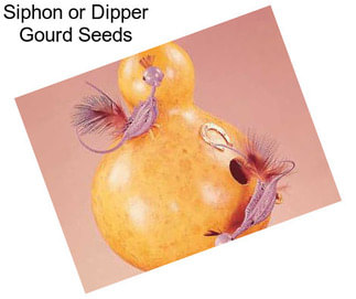 Siphon or Dipper Gourd Seeds