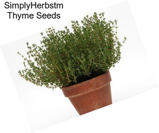 SimplyHerbstm Thyme Seeds