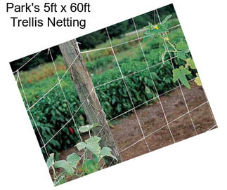 Park\'s 5ft x 60ft Trellis Netting