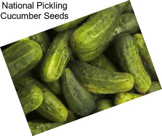 National Pickling Cucumber Seeds