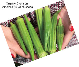 Organic Clemson Spineless 80 Okra Seeds