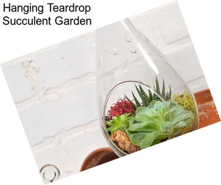 Hanging Teardrop Succulent Garden