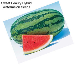 Sweet Beauty Hybrid Watermelon Seeds