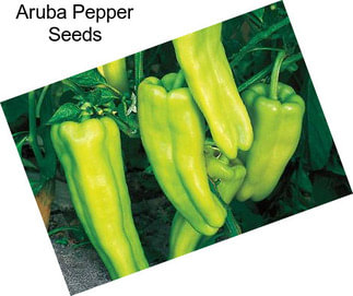 Aruba Pepper Seeds