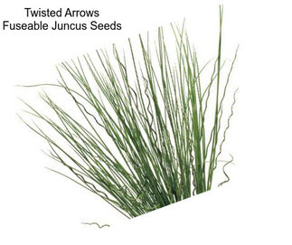 Twisted Arrows Fuseable Juncus Seeds