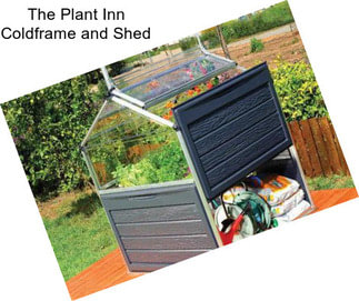 The Plant Inn Coldframe and Shed